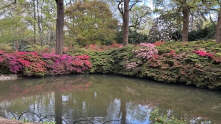 FGM acquittal and translation concerns in Sweden