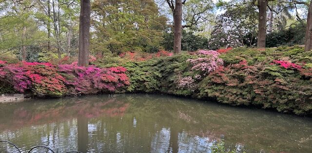 Court acquittal for FGM and translation concerns in Sweden