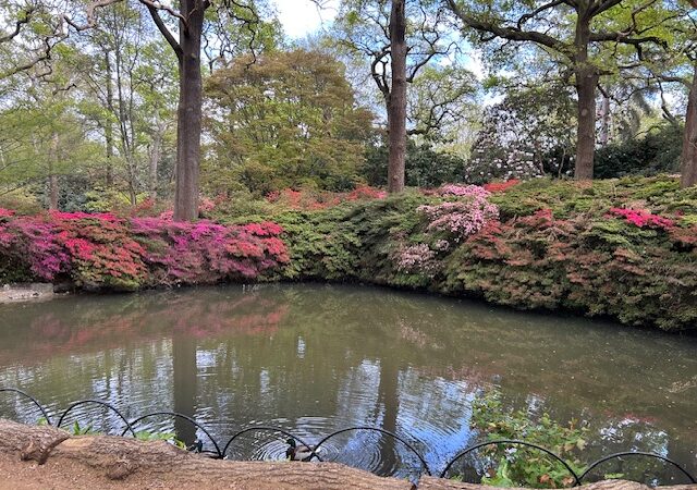 FGM acquittal and translation concerns in Sweden